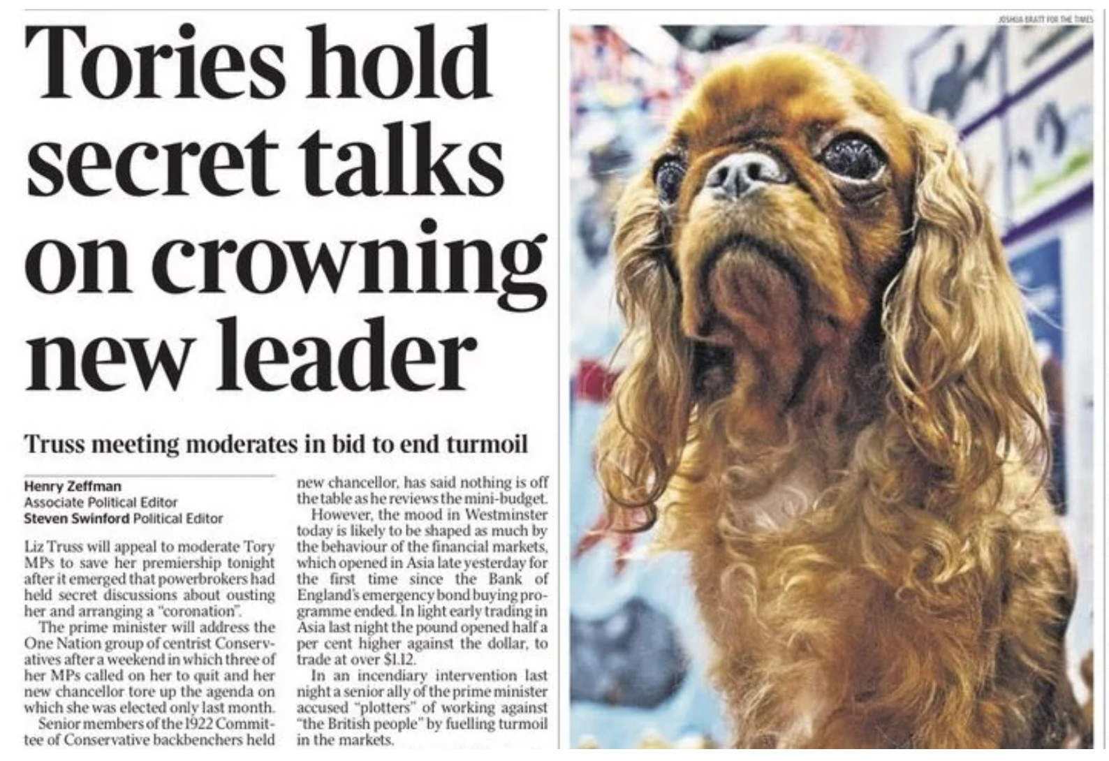 cocker spaniel - Tories hold secret talks on crowning new leader Truss meeting moderates in bid to end turmoil Henry Zeffman Associate Political Editor Steven Swinford Political Editor Liz Truss will appeal to moderate Tory MPs to save her premiership ton